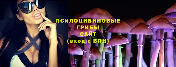гашик Беломорск