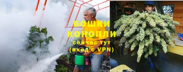 PSILOCYBIN Белокуриха