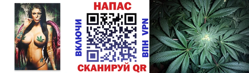 Марихуана White Widow  Михайлов 